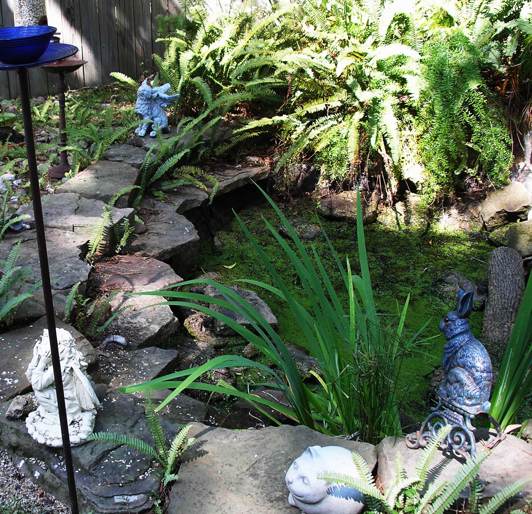 Pond cleanouts, pond repair, magnolia ponds and water Gardens, The